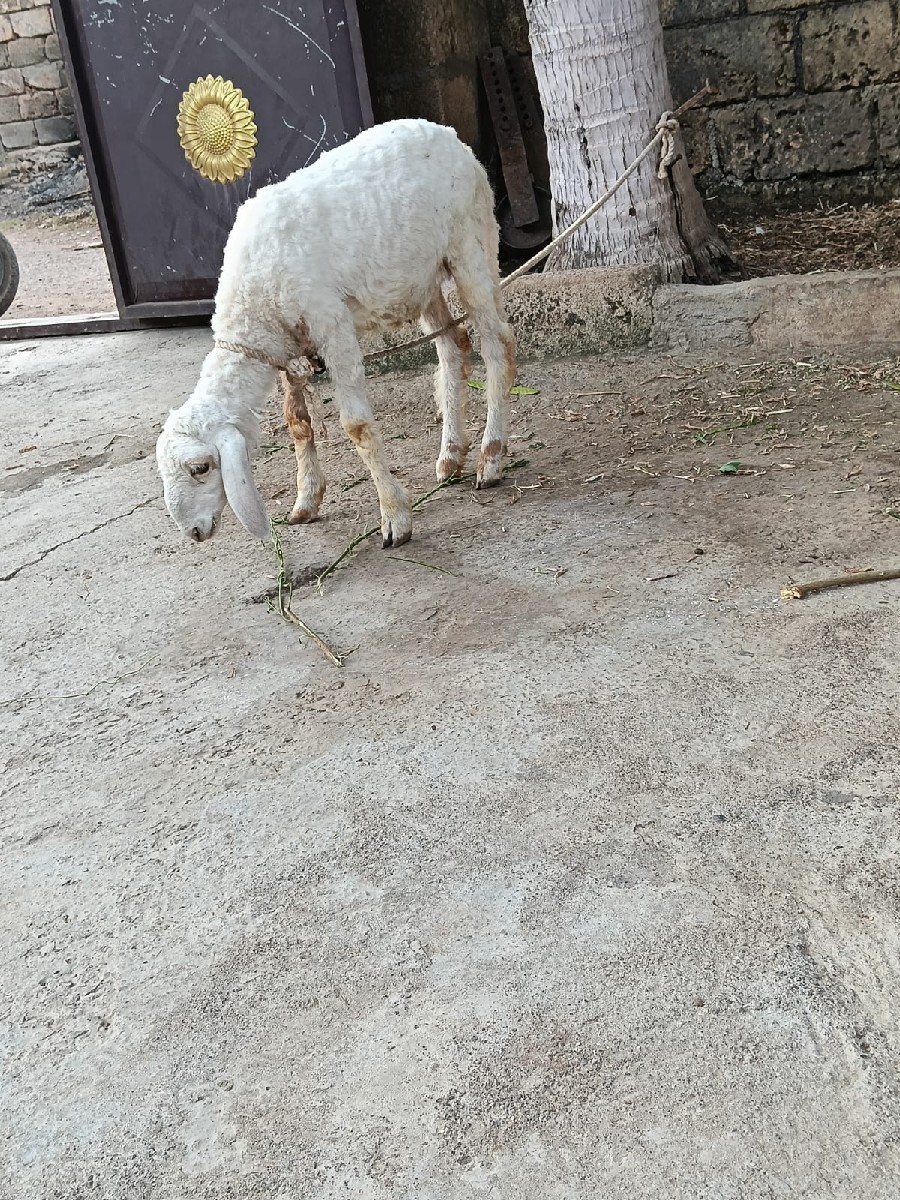 Post Image 2