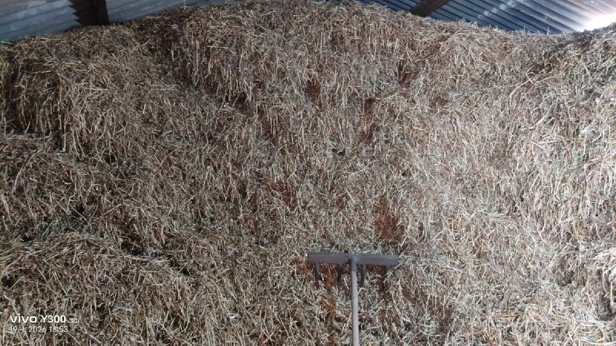 Post Image 2