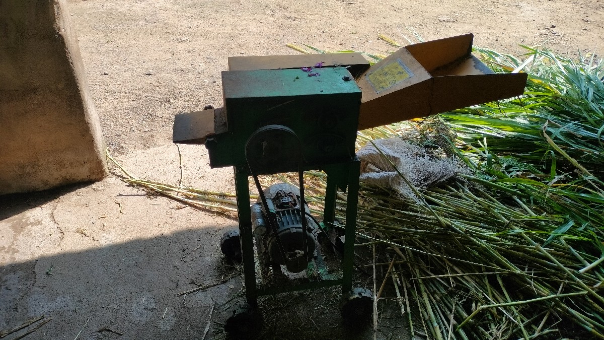 Post Image 2