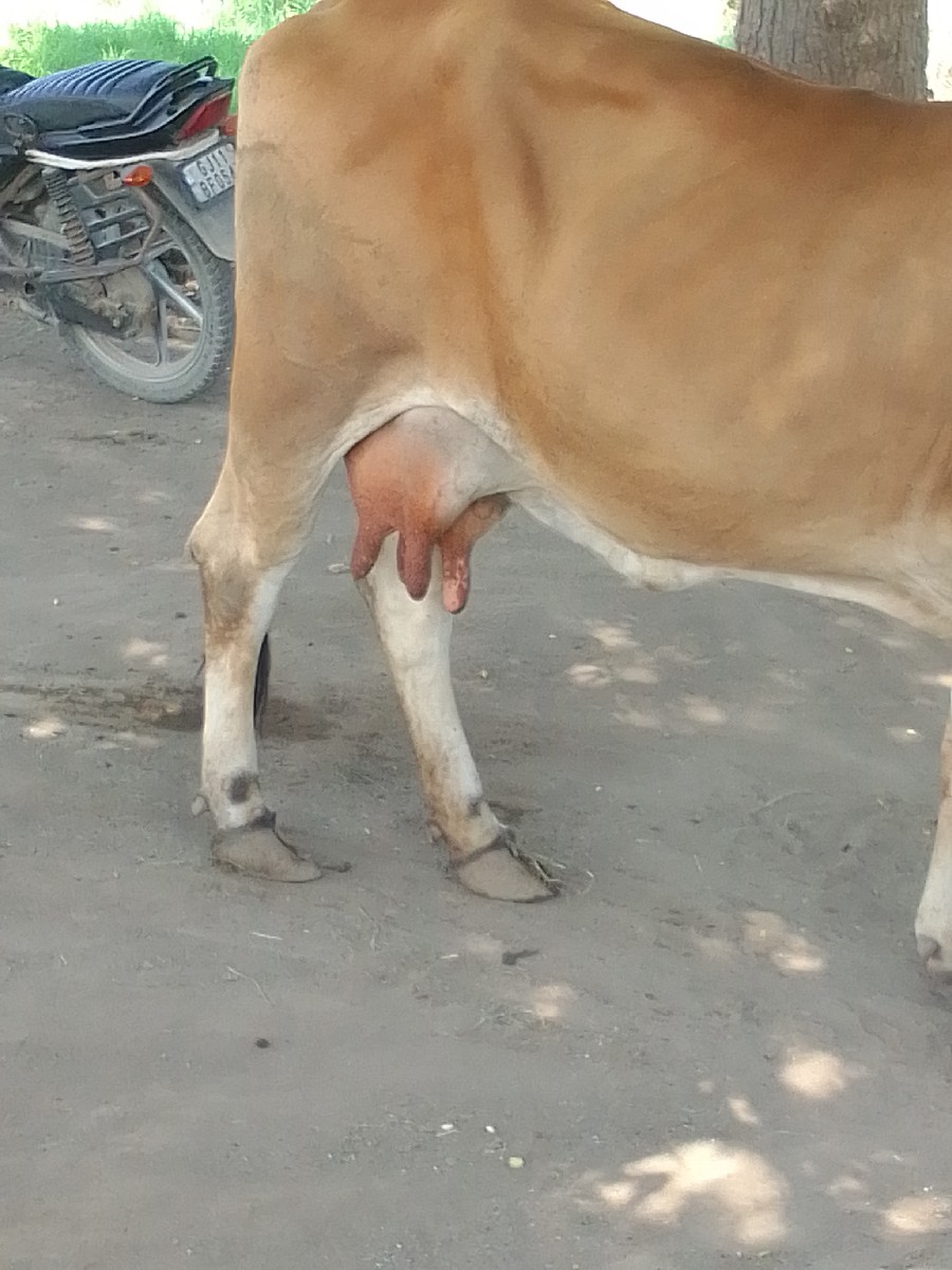 Post Image 1