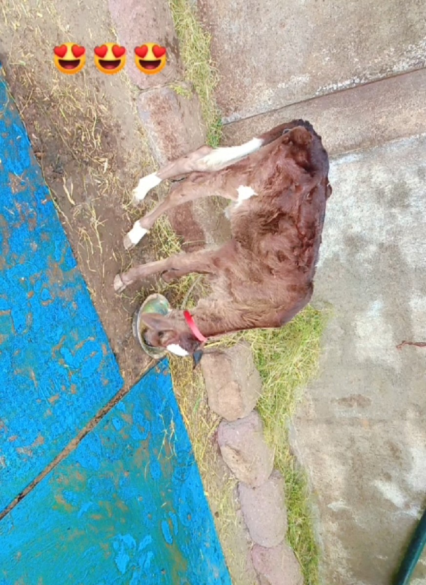 Post Image 2