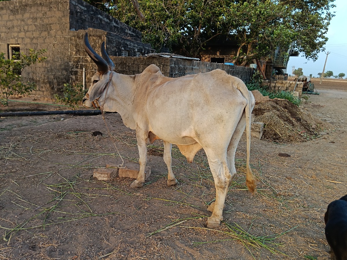Post Image 2