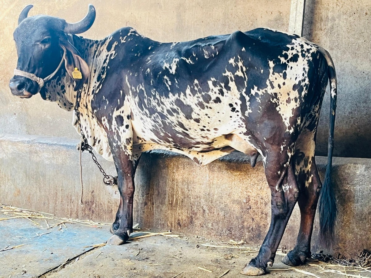 Post Image 6