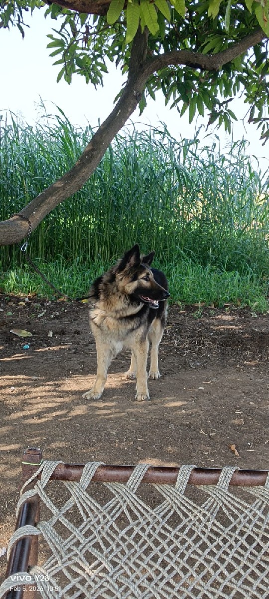 Post Image 3