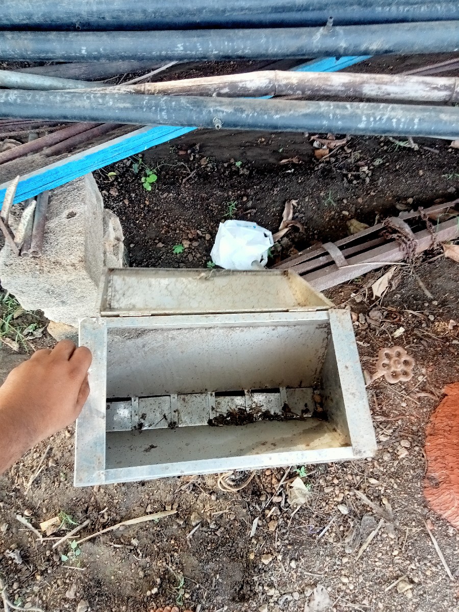 Post Image 2