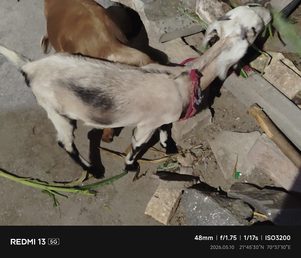 Post Image 3