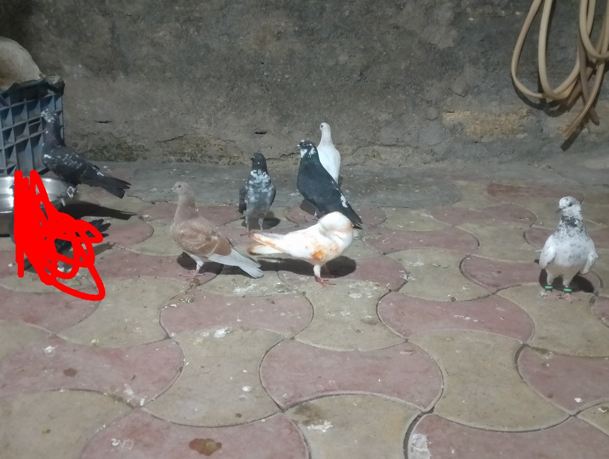 Post Image 1