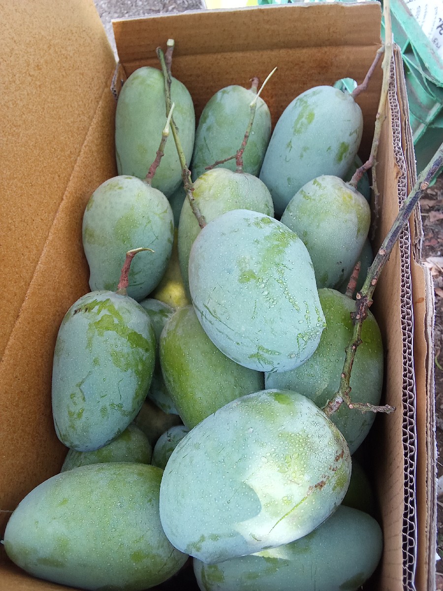 Post Image 2