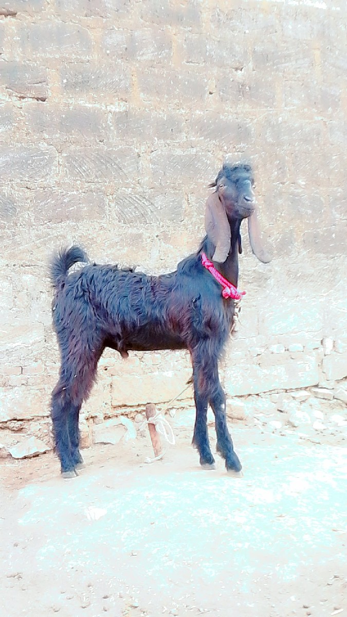 Post Image 2