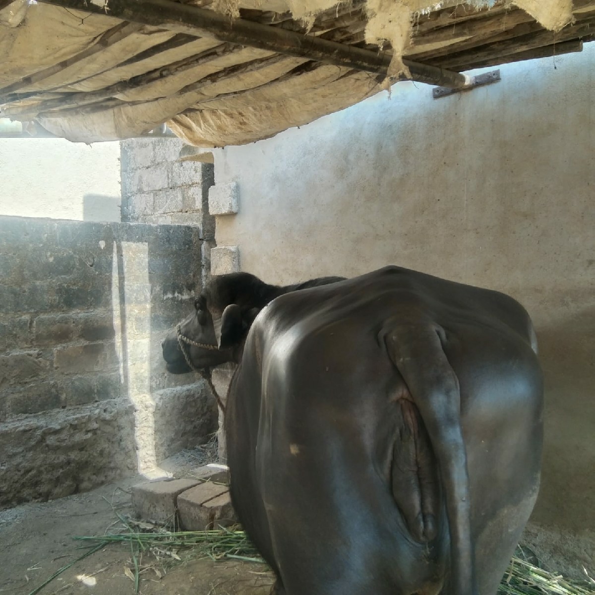 Post Image 2