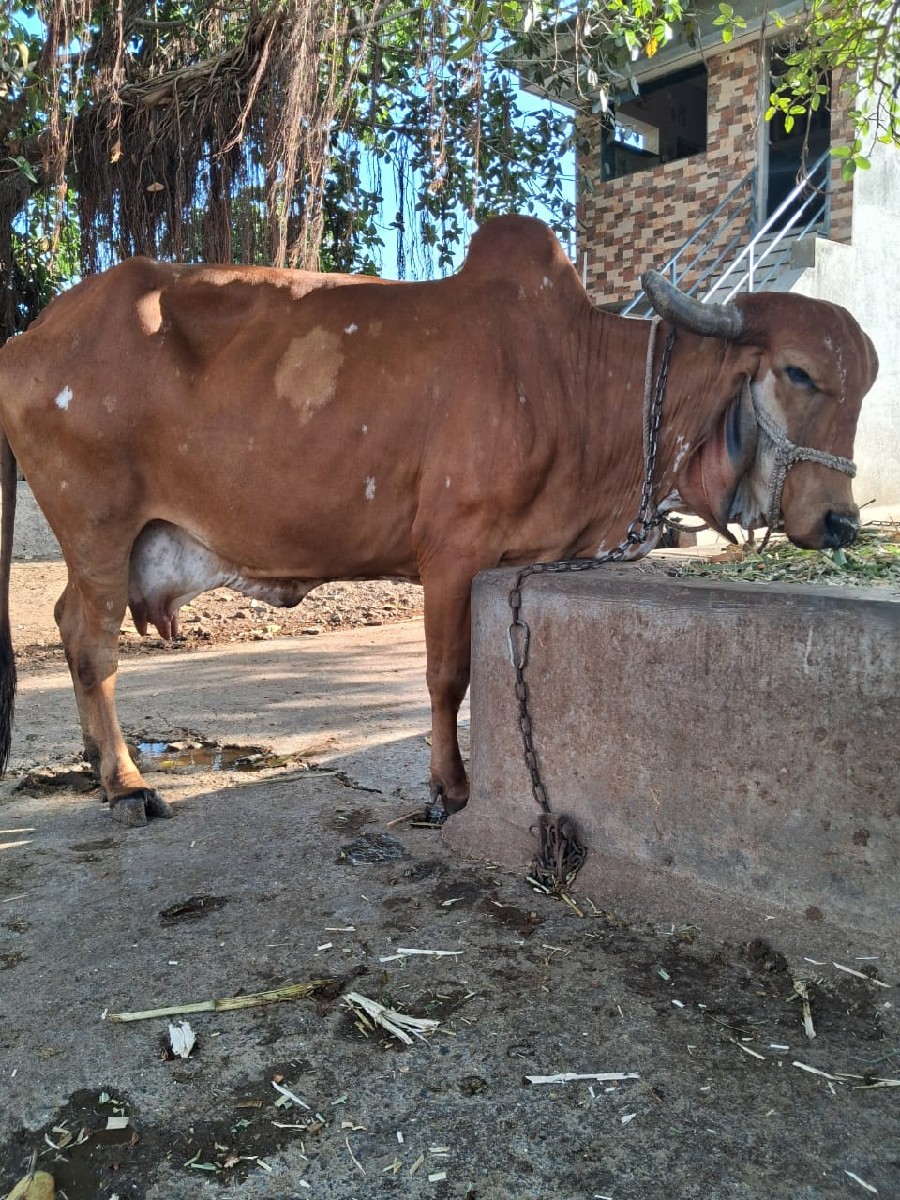 Post Image 2