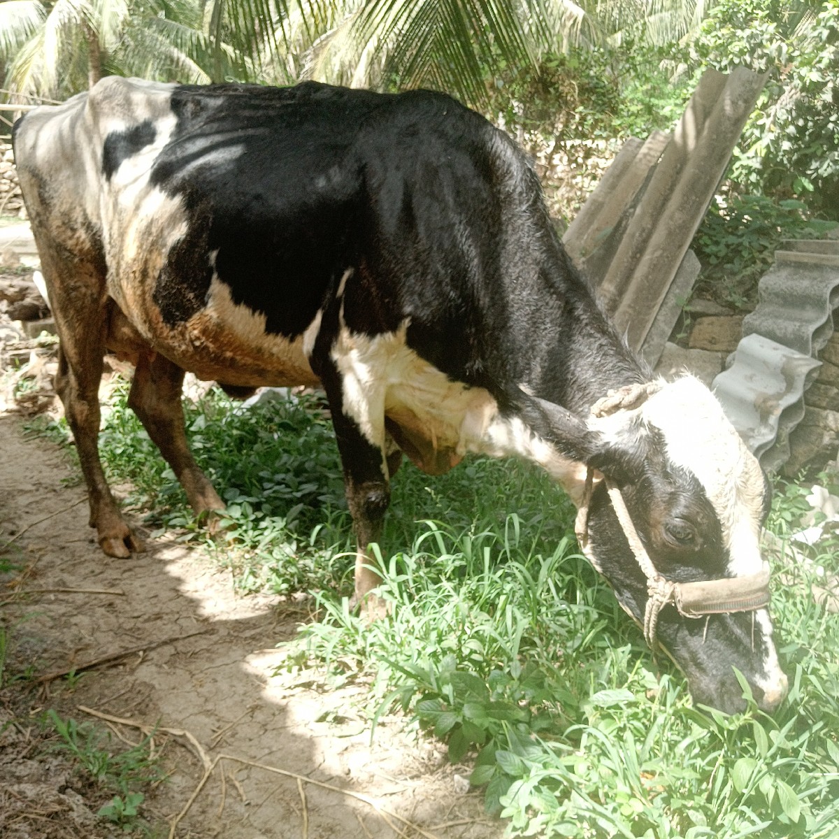 Post Image 2