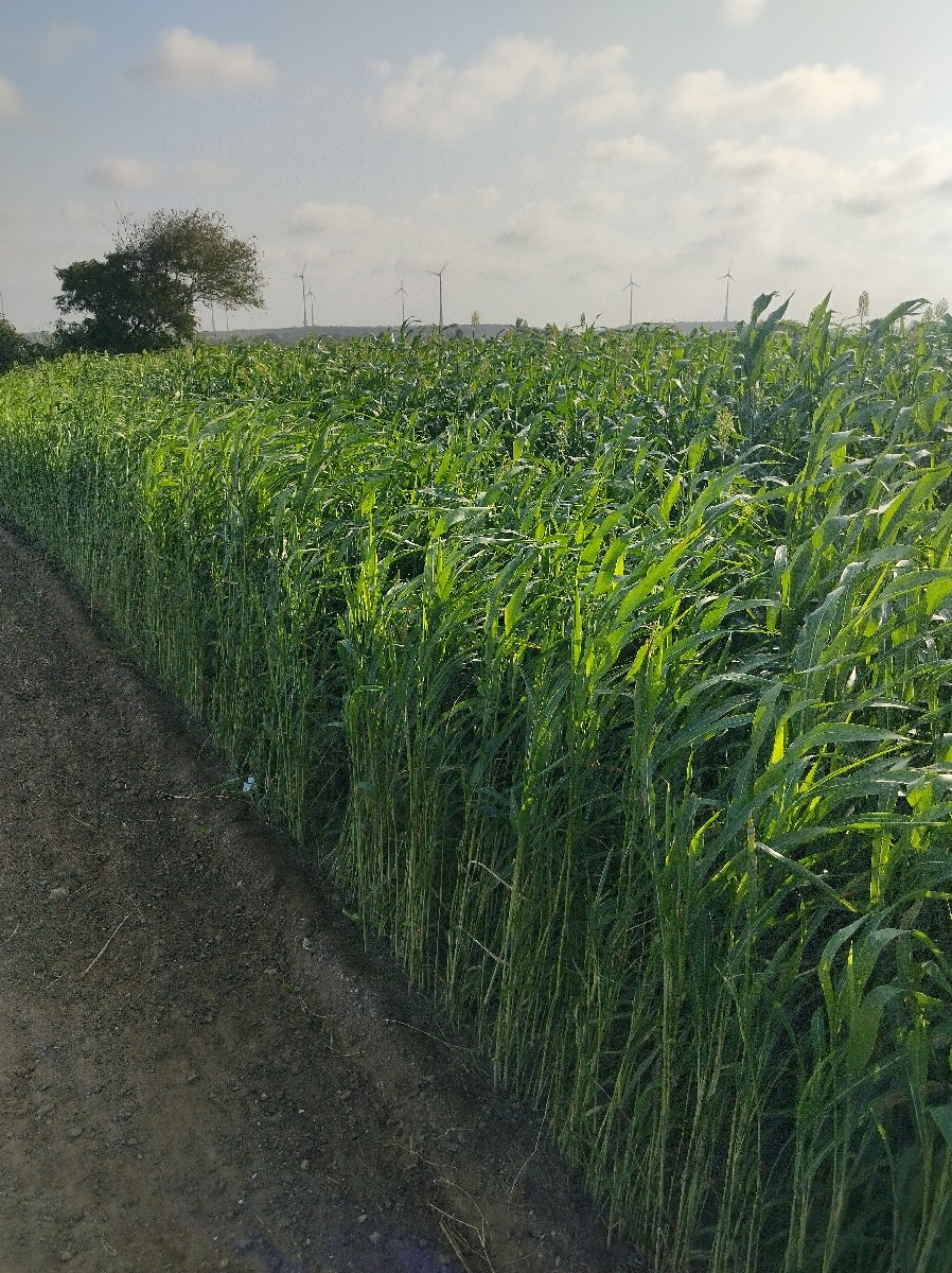 Post Image 2