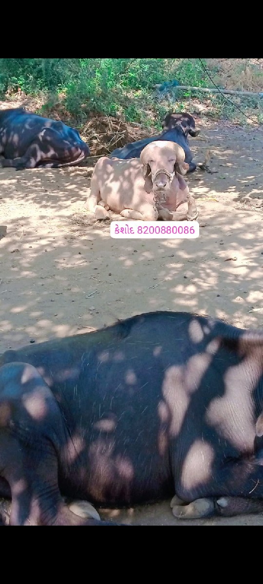 Post Image 3