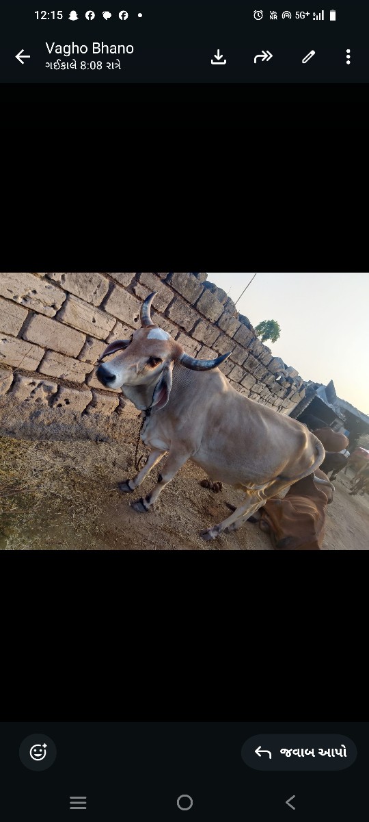 Post Image 3