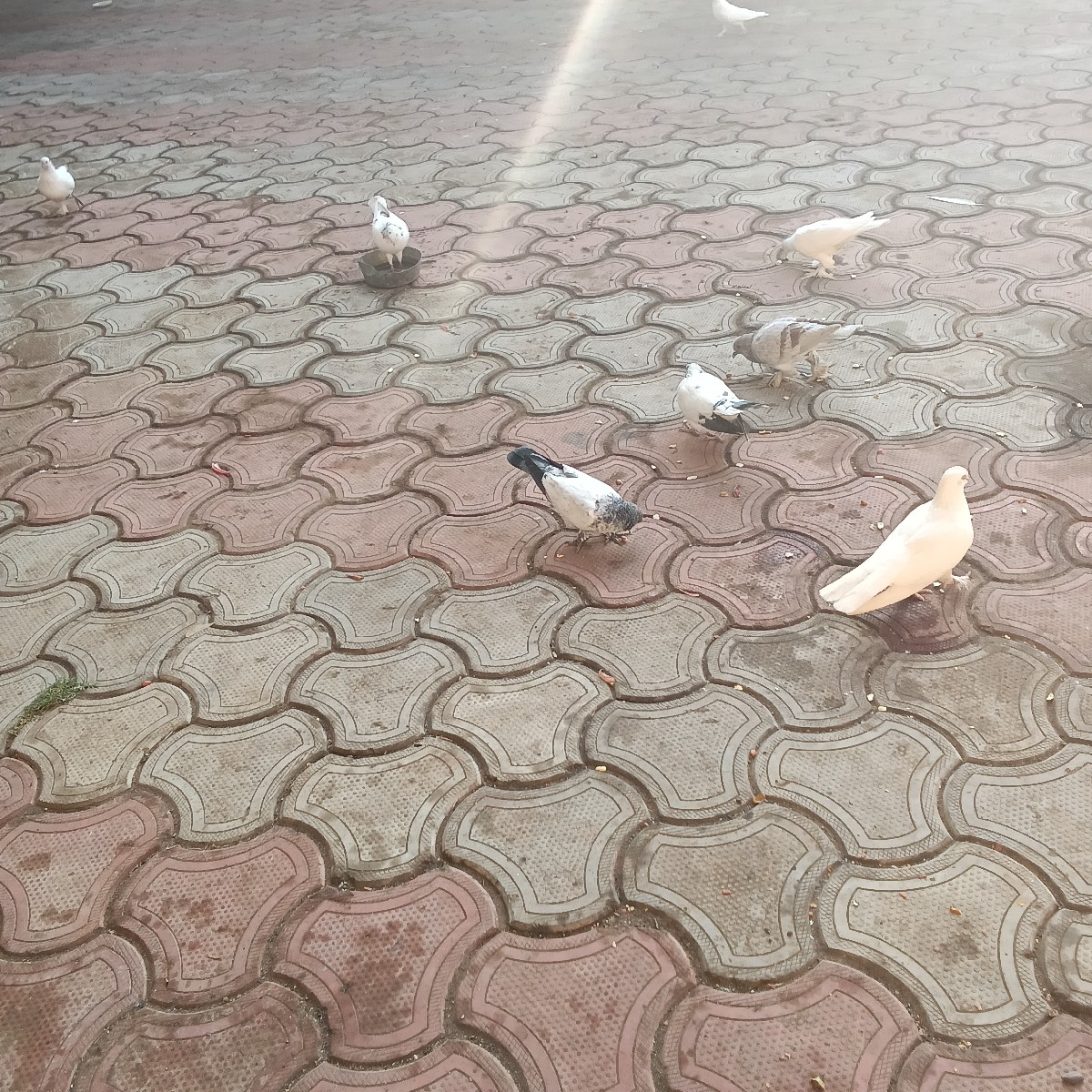 Post Image 2