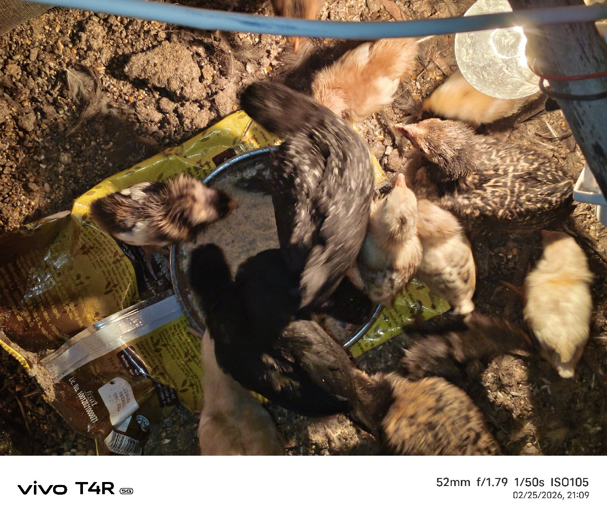 Post Image 2