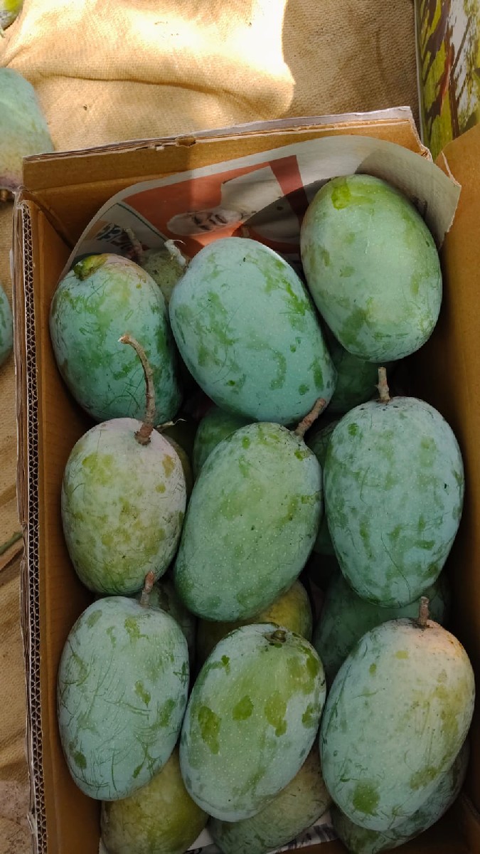 Post Image 4