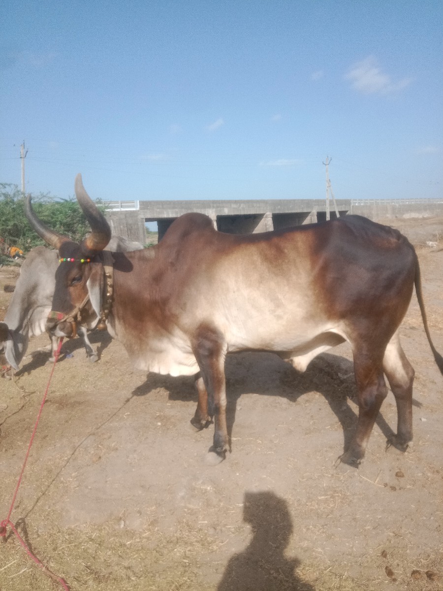 Post Image 3