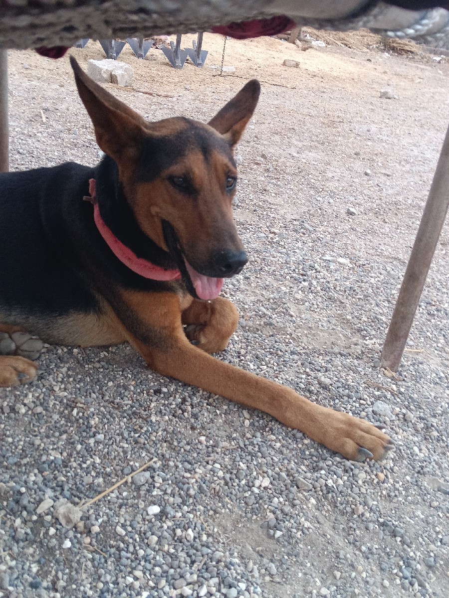 Post Image 3