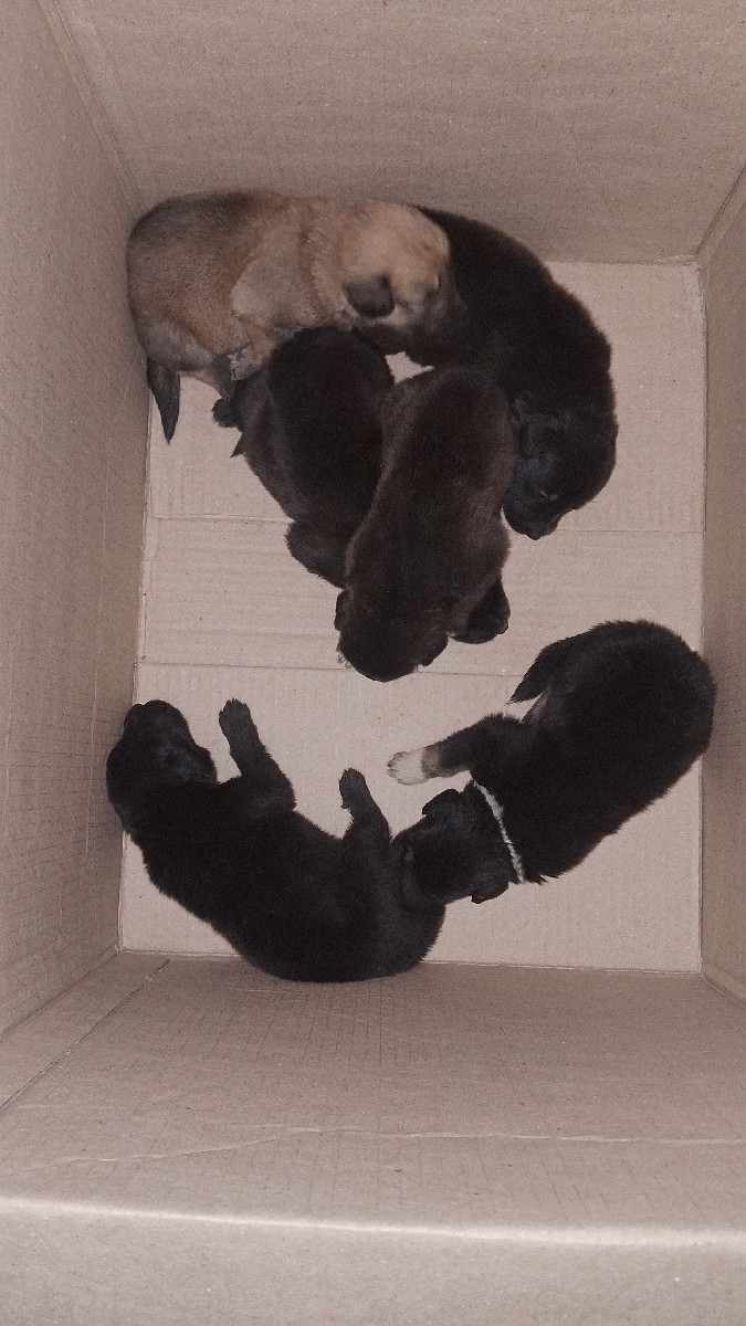 Post Image 2