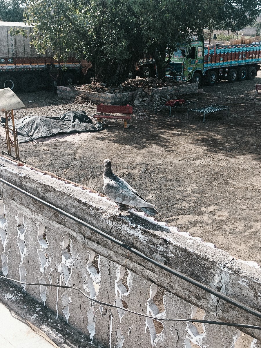 Post Image 2