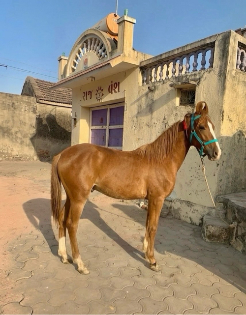 Post Image 1