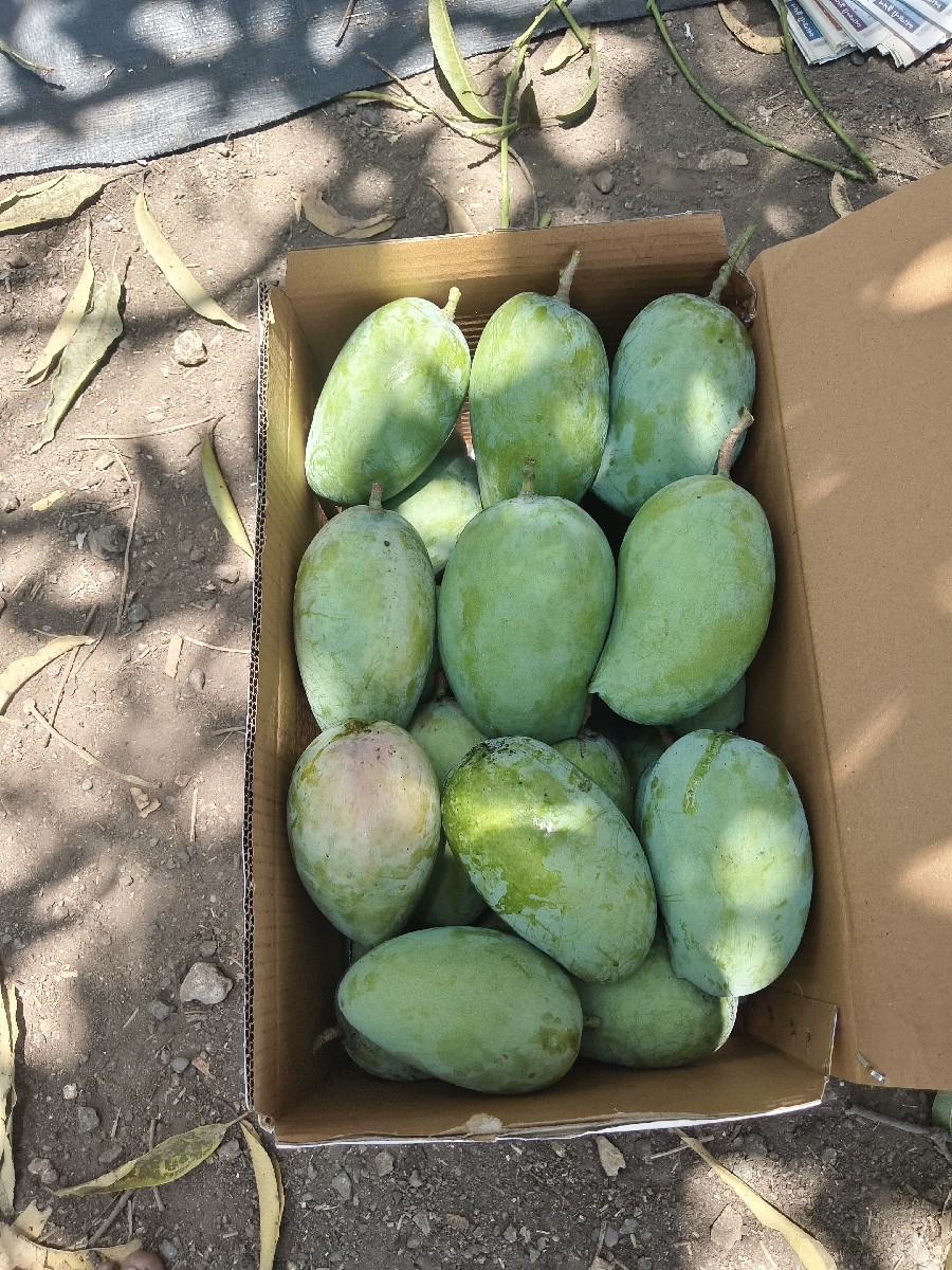 Post Image 3