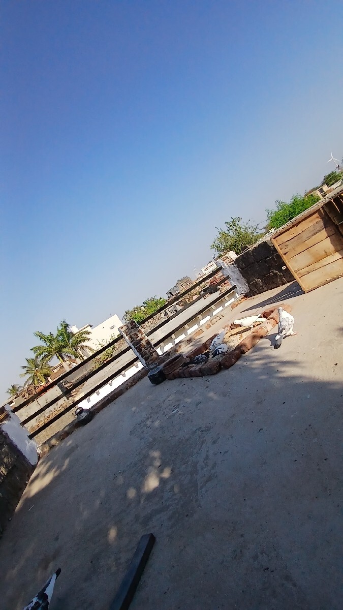 Post Image 3