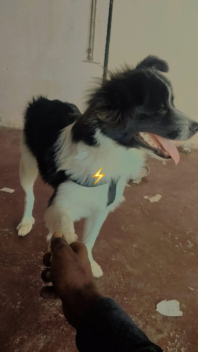 Post Image 3