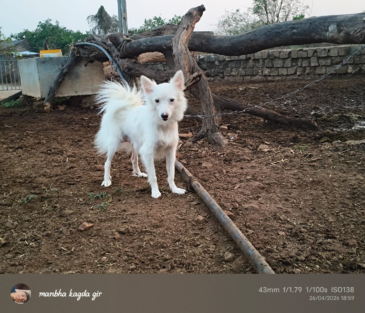 Post Image 2