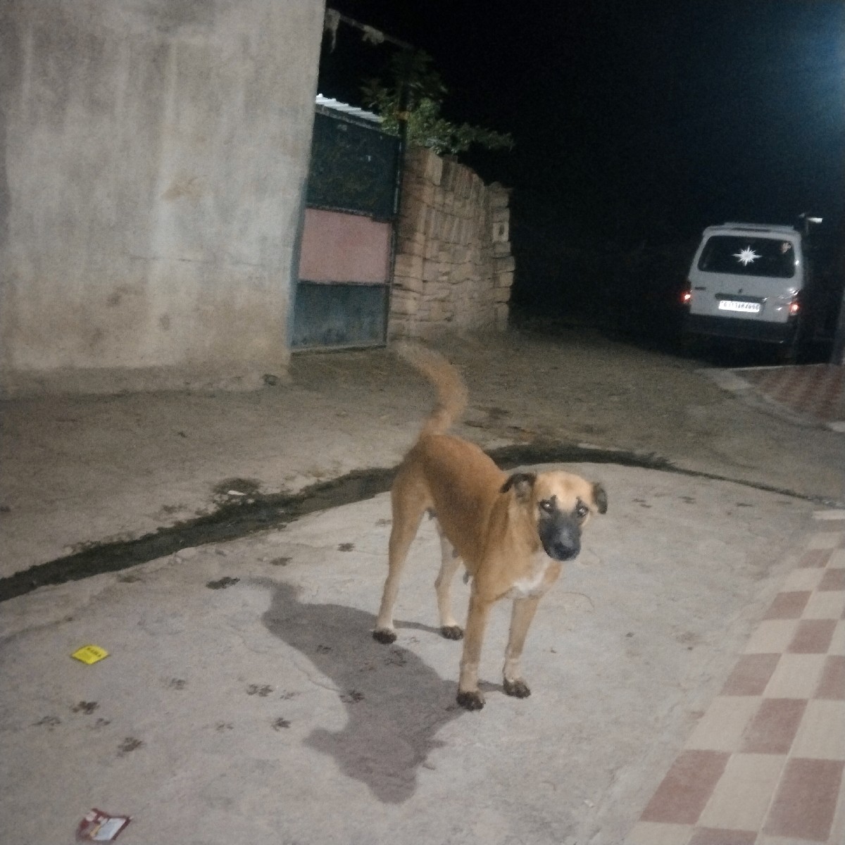 Post Image 1