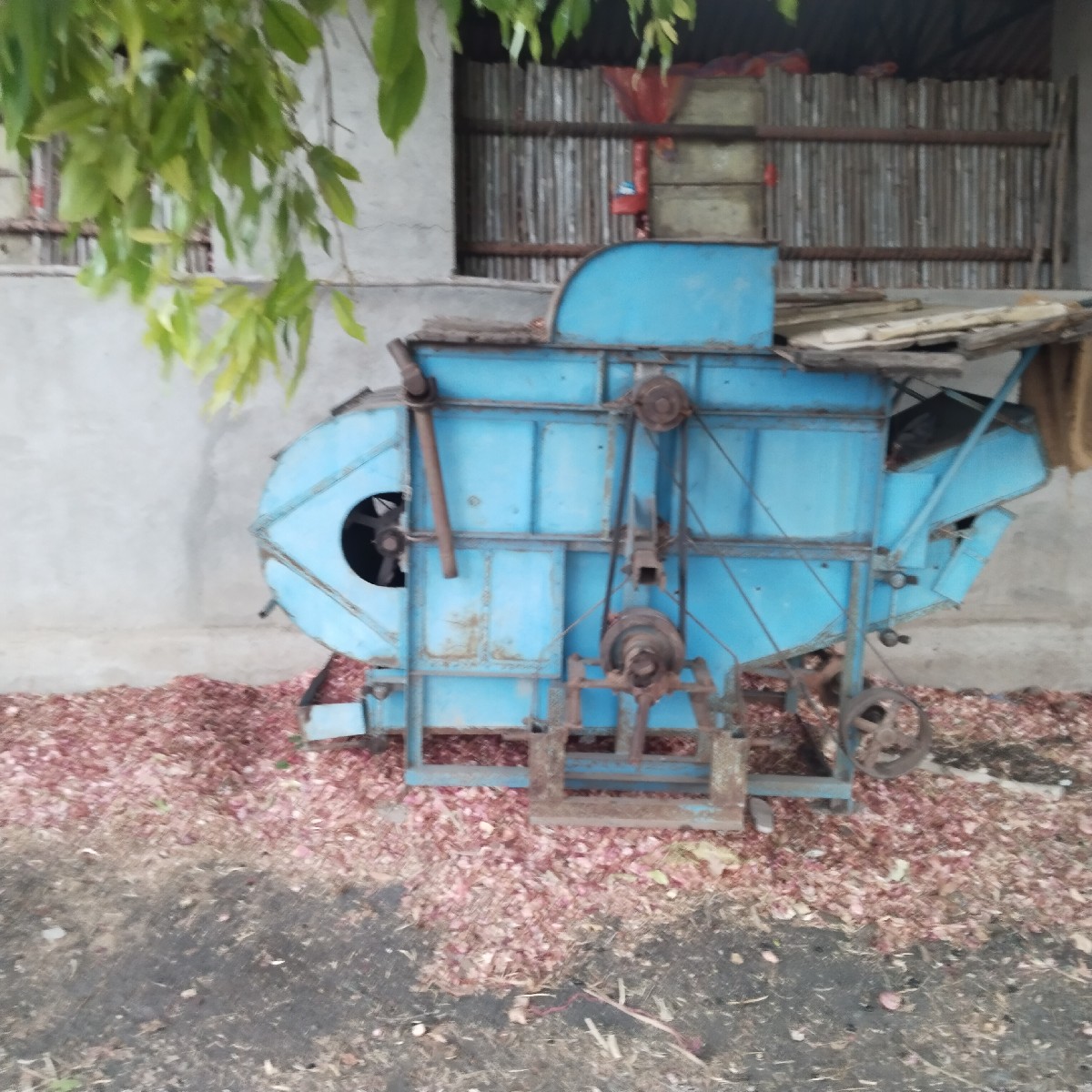 Post Image 2