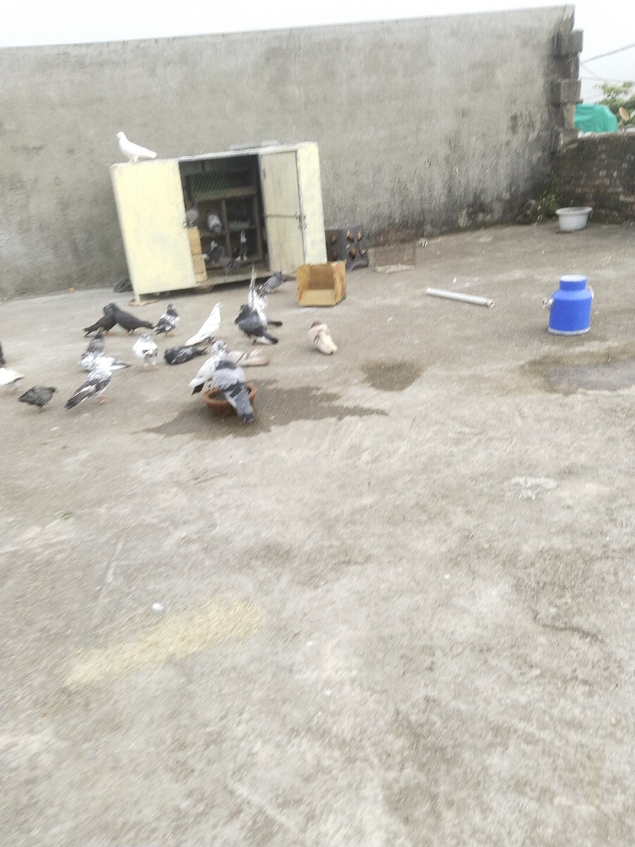 Post Image 2