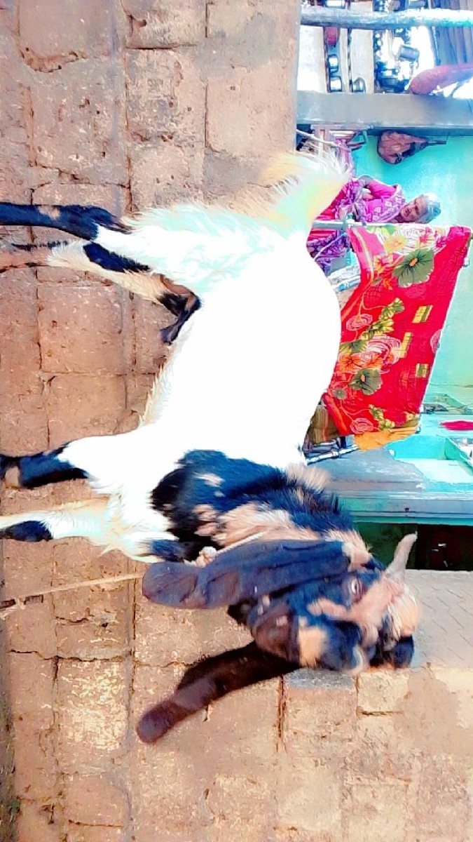 Post Image 2