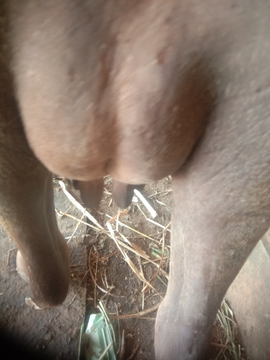 Post Image 5