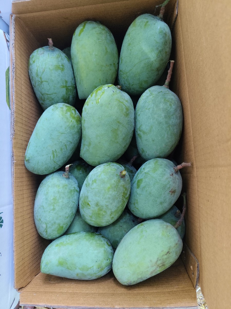 Post Image 3
