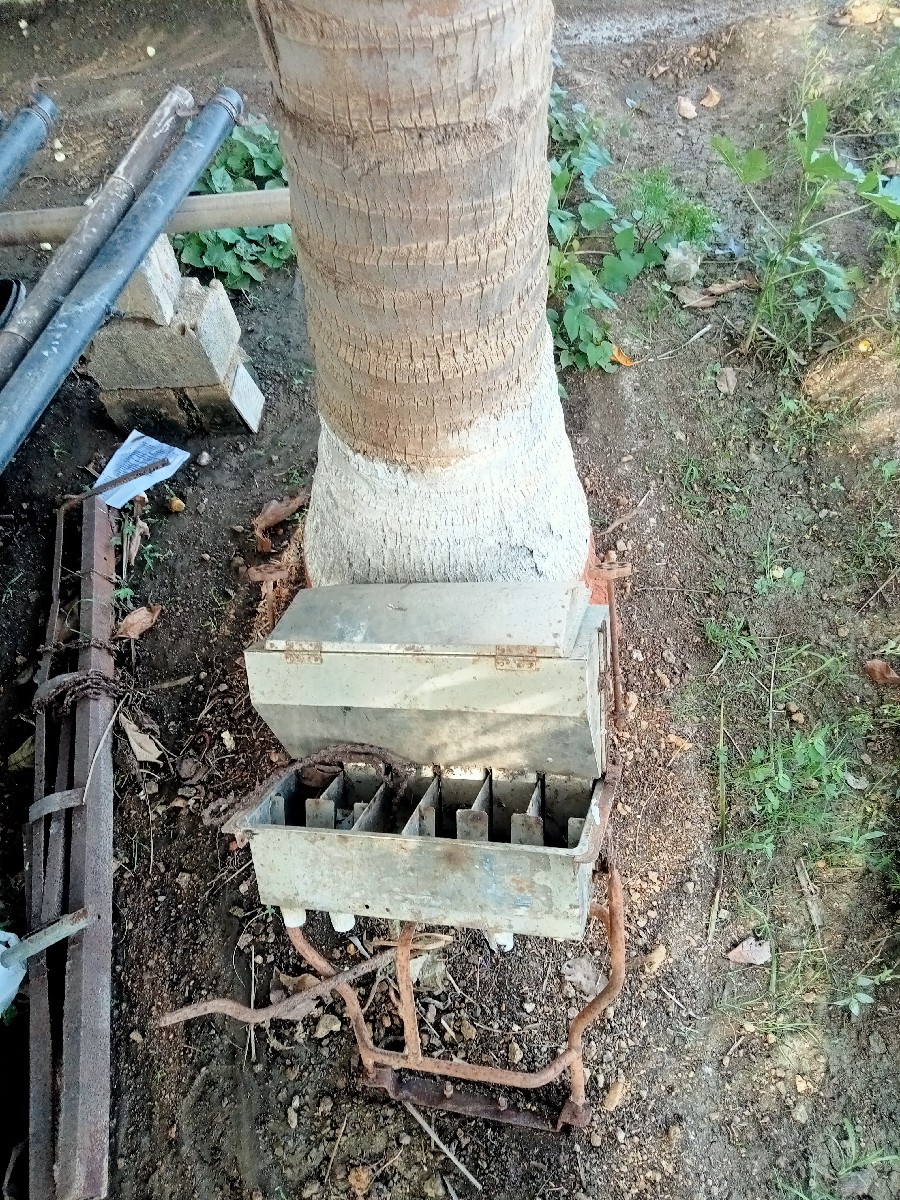 Post Image 3