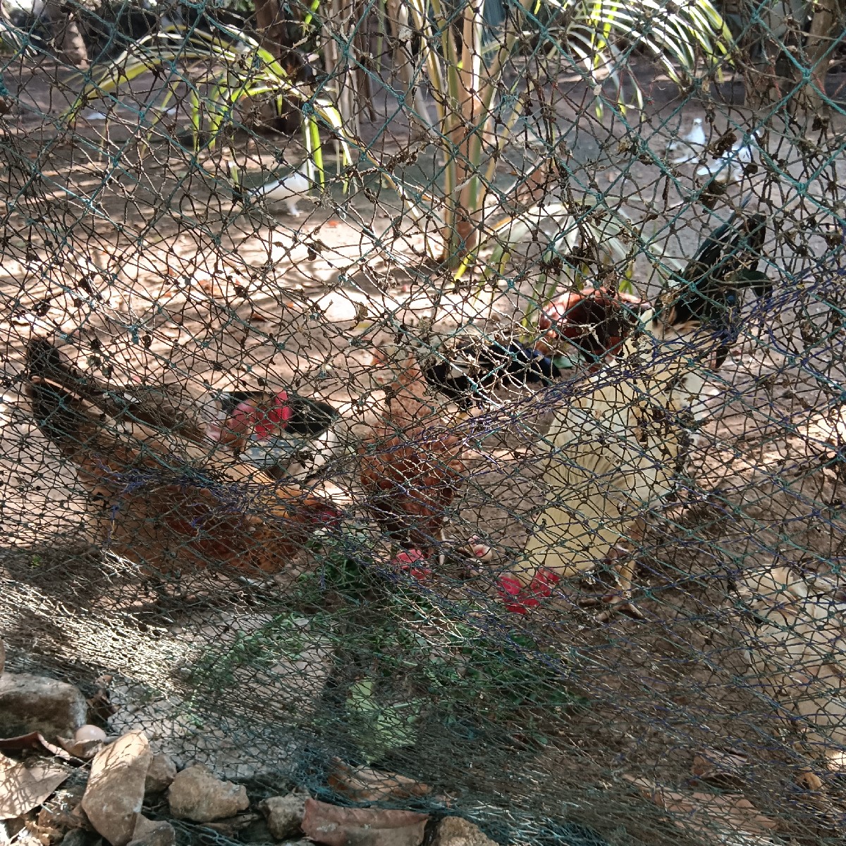 Post Image 2