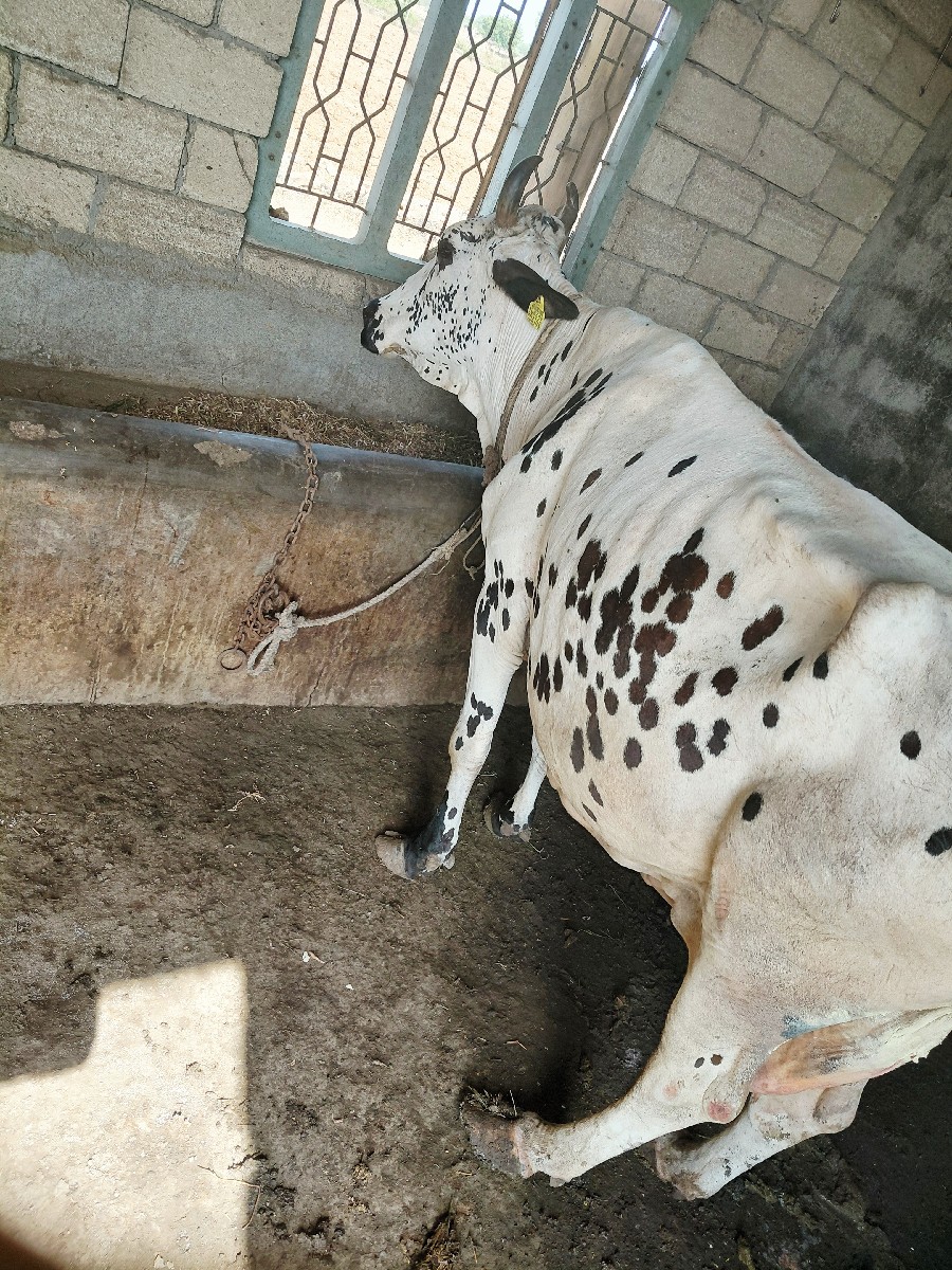 Post Image 3