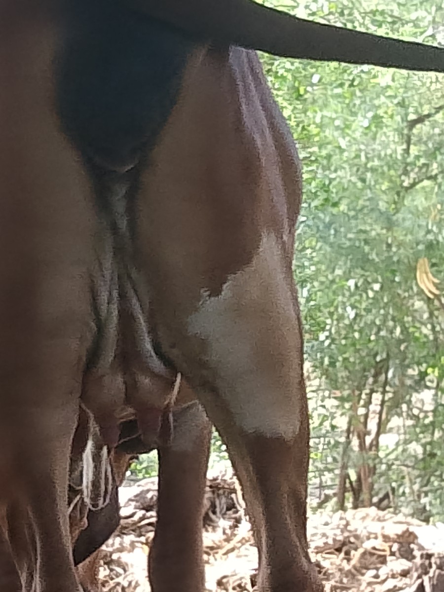 Post Image 4