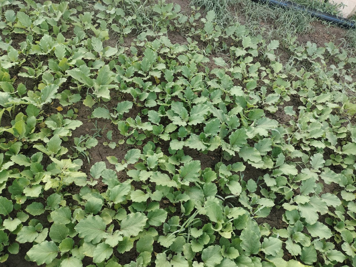 Post Image 2