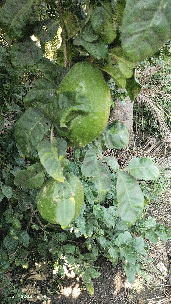 Post Image 1