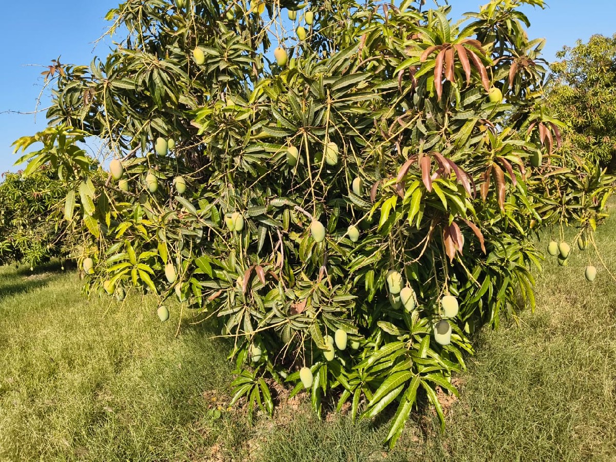 Post Image 5