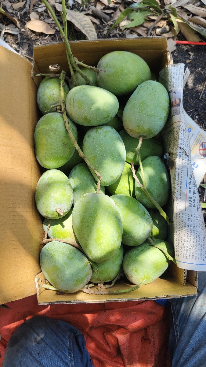 Post Image 3