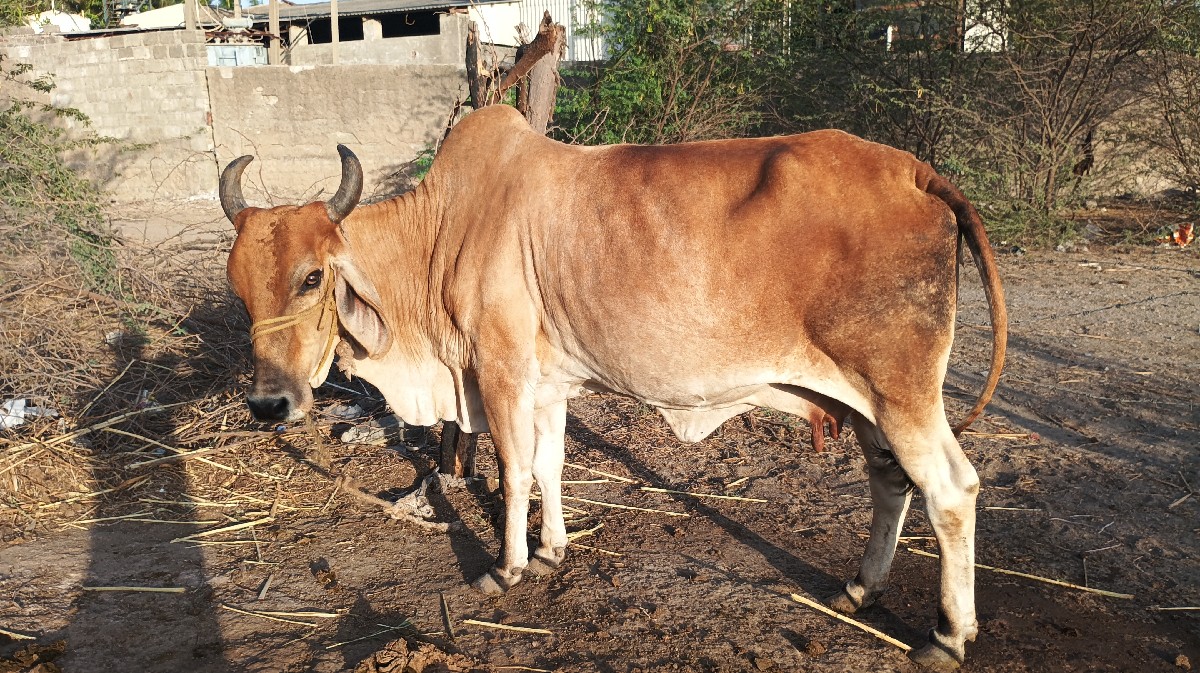 Post Image 2