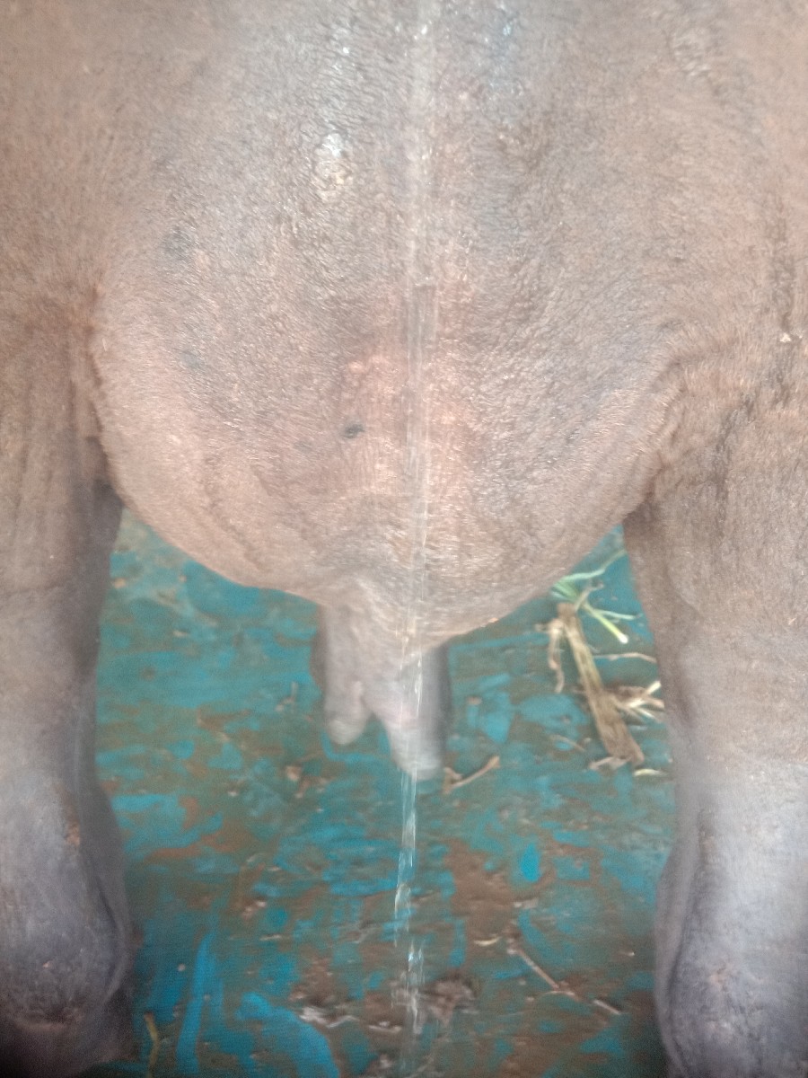 Post Image 5