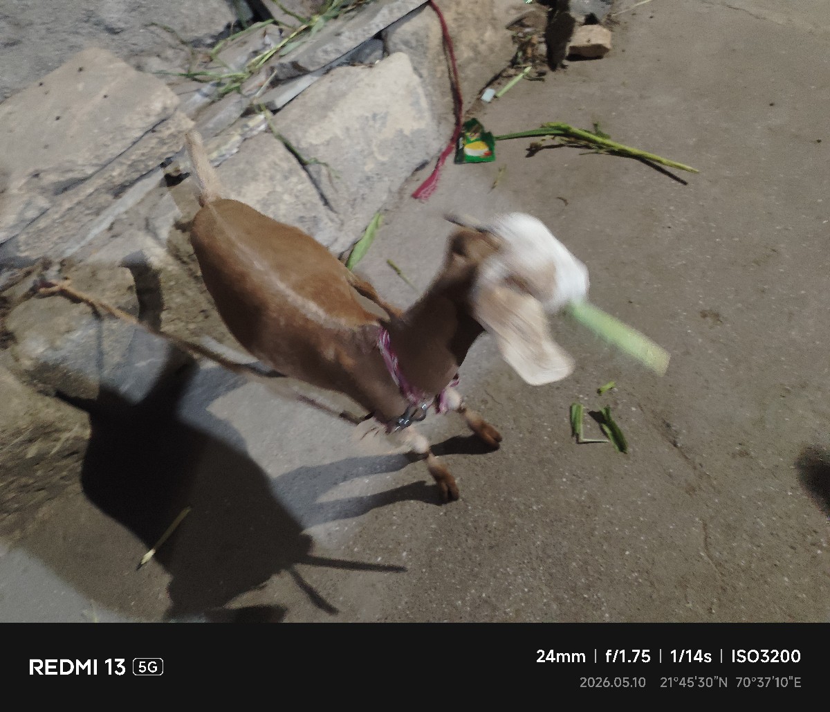 Post Image 3