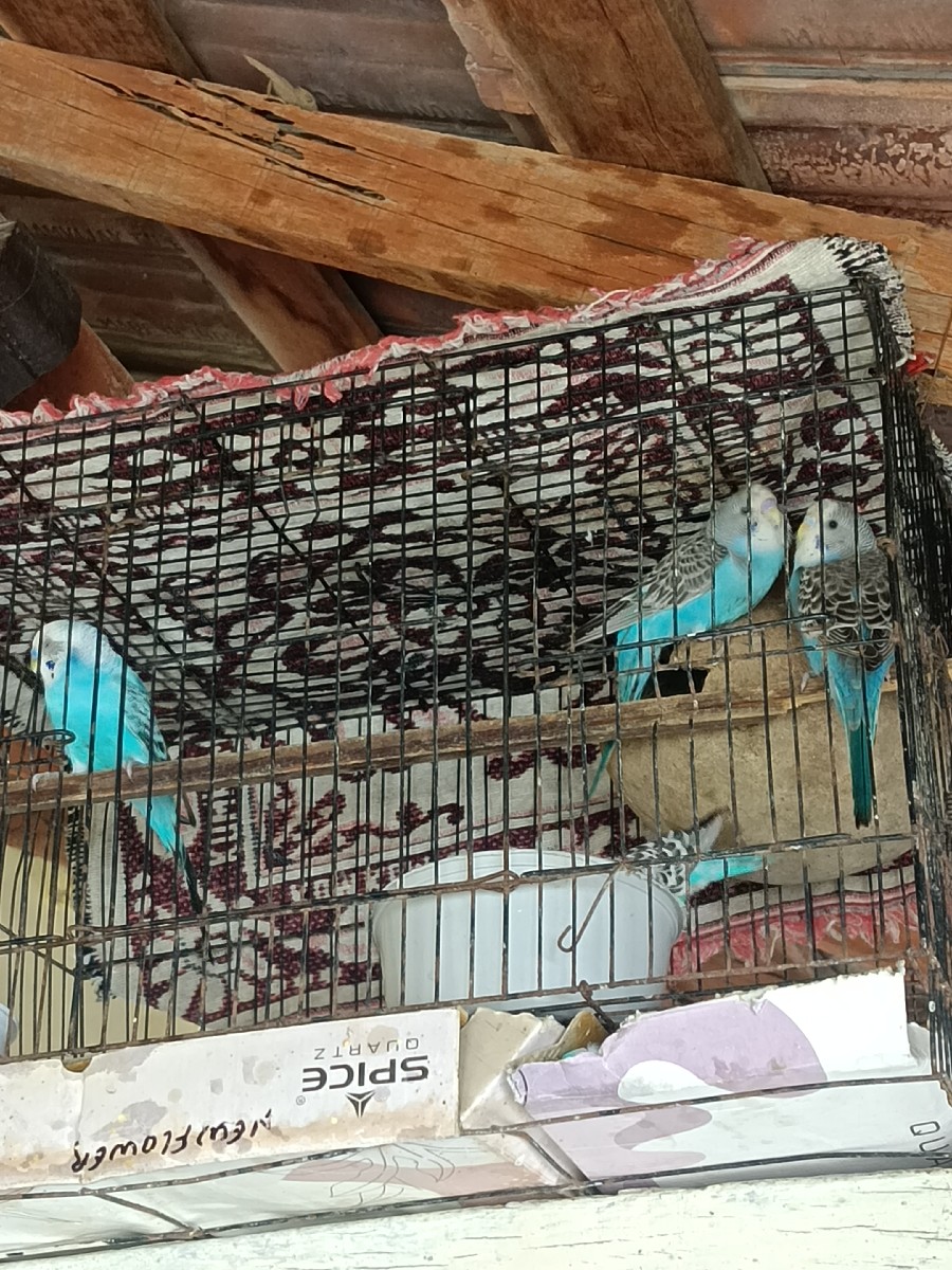 Post Image 3