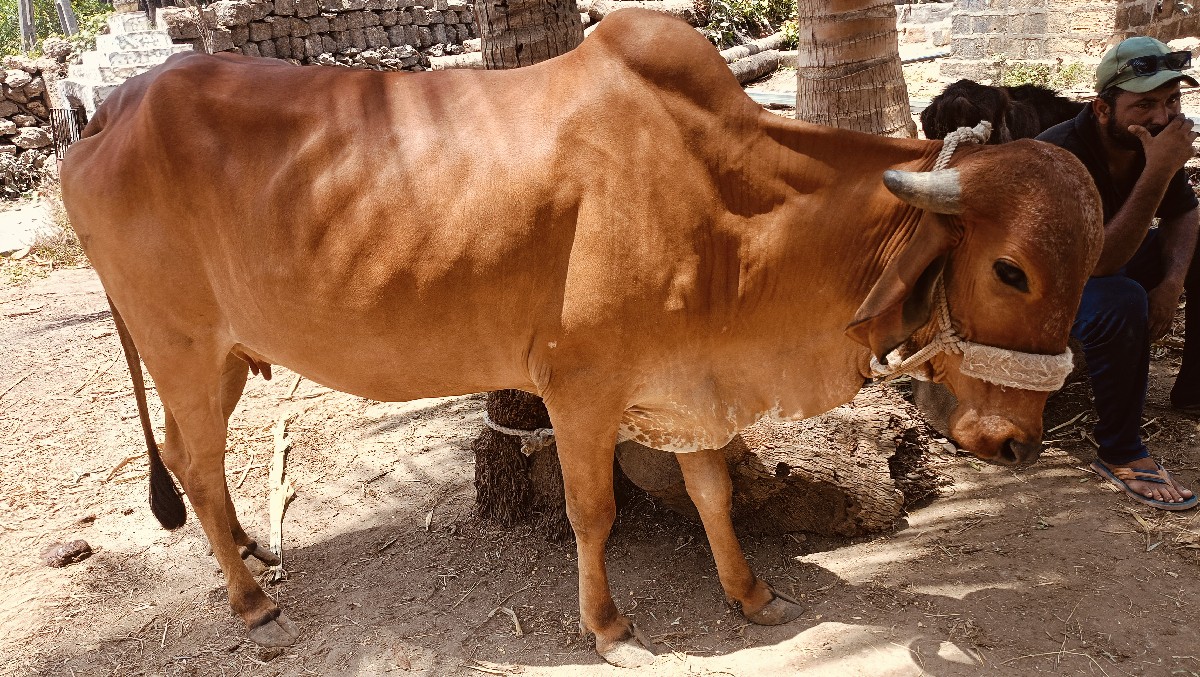 Post Image 3